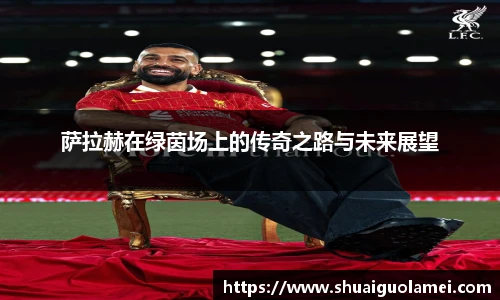 萨拉赫在绿茵场上的传奇之路与未来展望